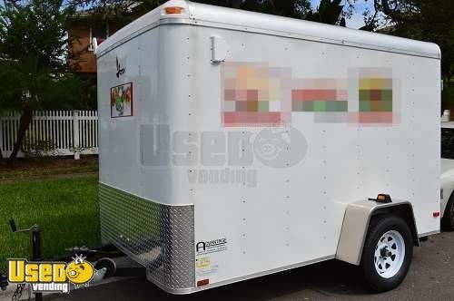 Custom Built 10' x 6' Gyros Trailer